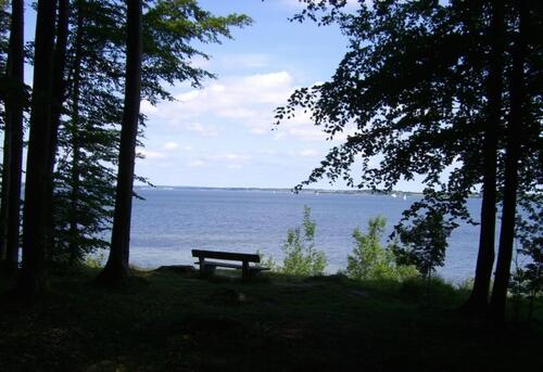 Foto - 
