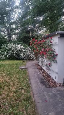 Foto - Bungalow - Eigentum - Pretzien (OASE)