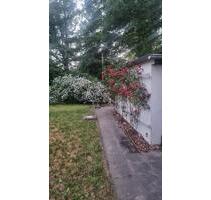 Bungalow - Eigentum - Pretzien (OASE) - Schönebeck (Elbe)