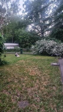 Foto - 2 Zimmer Bungalow zum Kaufen in Schönebeck (Elbe)