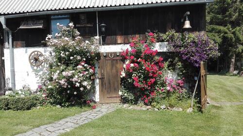 Foto - Bauernhaus, Landhaus in Steinhagen zum Kaufen