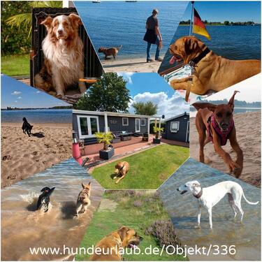 Foto - Kurzurlaub in Lathum NL - 76,00 EUR Kaltmiete,