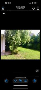 Foto - 3 Zimmer Etagenwohnung zur Miete in Horn-Bad Meinberg