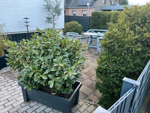 Foto - 3 Zimmer Erdgeschoßwohnung in Mönchengladbach