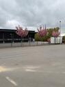 Foto - Gewerbehalle Lagerhalle - 2.000,00&nbsp;EUR Kaltmiete, ca.&nbsp; 5,50&nbsp;m&sup2;