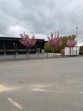 Foto - Gewerbehalle Lagerhalle - 2.000,00&nbsp;EUR Kaltmiete, ca.&nbsp; 5,50&nbsp;m&sup2;
