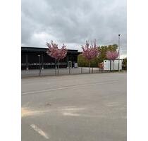 Gewerbehalle Lagerhalle - 2.000,00&nbsp;EUR Kaltmiete, ca.&nbsp; 5,50&nbsp;m&sup2; in Rosendahl (PLZ: 48720)