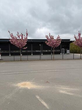 Foto - andere in Rosendahl