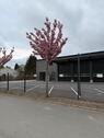 Foto - andere in Rosendahl zur Miete