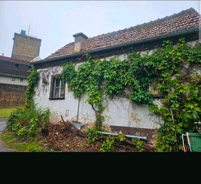 Foto - Eigentumswohnung Einliegerwohnung Erdgeschoss Wohnung Haus
