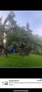 Foto - Garte pacht - 1.200,00&nbsp;EUR Kaltmiete, ca.&nbsp; 0,00&nbsp;m&sup2;