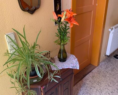 Foto - Einfamilienhaus in Euerbach zum Kaufen