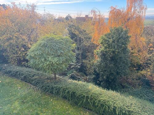 Foto - Einfamilienhaus mit Hofohne Garten in Wiesbaden provisvonsfrei