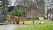 Foto - 