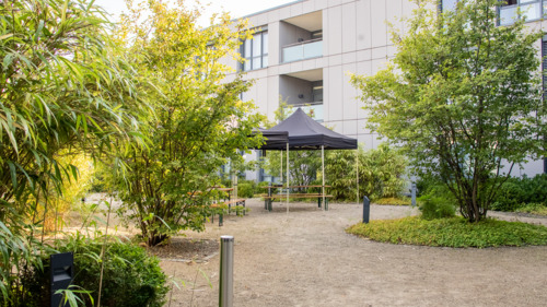 Foto - andere in Braunschweig