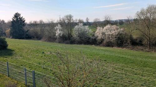 Foto - 6 Zimmer Einfamilienhaus in Kronberg im Taunus