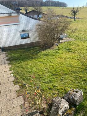 Foto - Erdgeschoßwohnung in Pracht zur Miete