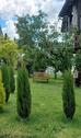 Foto - helle 2 Zi. Wohnung - 890,00&nbsp;EUR Kaltmiete, ca.&nbsp; 87,00&nbsp;m&sup2;