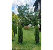 helle 2 Zi. Wohnung - 890,00&nbsp;EUR Kaltmiete, ca.&nbsp; 87,00&nbsp;m&sup2; in Birkenfeld (PLZ: 75217)