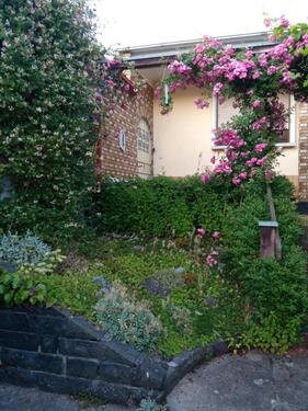 Foto - Einfamilienhaus Naunheim von privat