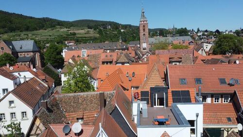 Foto - 7 Zimmer Etagenwohnung zur Miete in Neustadt an der Weinstraße