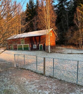 Foto - andere zur Miete in Ratekau