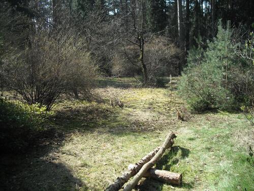 Foto - Baugrundstück mit Positiv bescheid