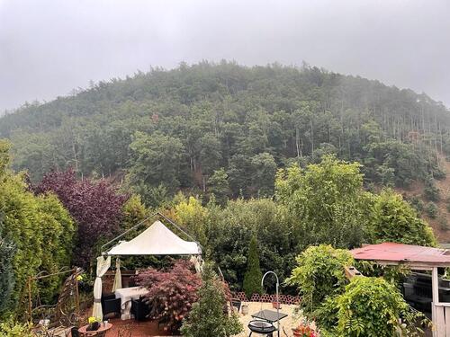 Foto - Einfamilienhaus zum Kaufen in Battenberg (Eder)