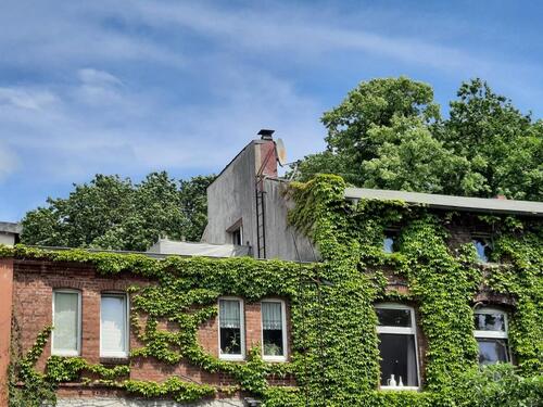 Foto - Geräumige Dachgeschosswohnung in Alter Brauerei Heidmühle