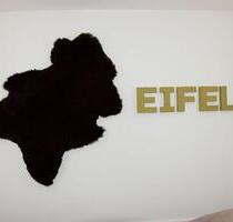 Ferienwohnung Auszeit Eifel Sauna Fewo - Dahlem