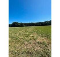 Zu verpachten: Ackerland - 28.500,00 EUR Kaltmiete, ca.  0,00 m² in Frankfurt am Main (PLZ: 60528) Niederrad