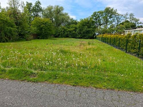 Foto - kleine AckerflächeWeide - 300,00&nbsp;EUR Kaltmiete, ca.&nbsp; 0,00&nbsp;m&sup2;