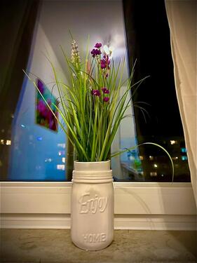 Foto - Liebevoll möblierte zwei Zimmer Wohnung in VahrenwaldList