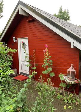 Foto - Urlaub mit Hund, Urlab an der Ostsee, Haus am See