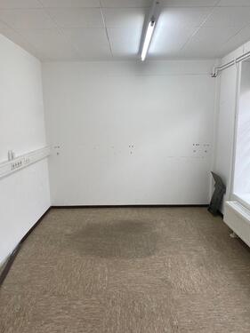 Foto - andere in Frickingen