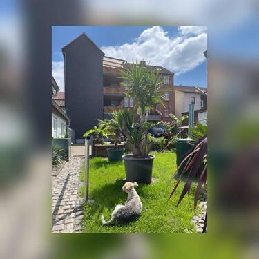 Foto - Helle, geräumige 4 Zimmer Dachgeschoss Wohnung