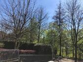 Foto - andere zur Miete in Bergisch Gladbach