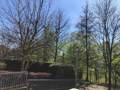 Foto - andere zur Miete in Bergisch Gladbach