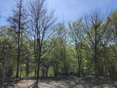 Foto - andere in Bergisch Gladbach