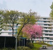 3,5-Zimmer-Wohnung mit Balkon WF 80,5 m² in Ludwigsburg-Grünbühl