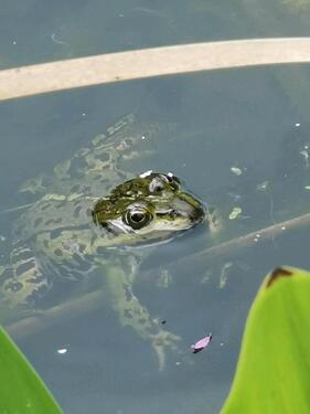 Foto - Grundst&uuml;ck zur Miete in Hannover