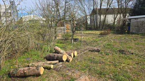Foto - Grundst&uuml;ck in Uehlfeld zur Miete