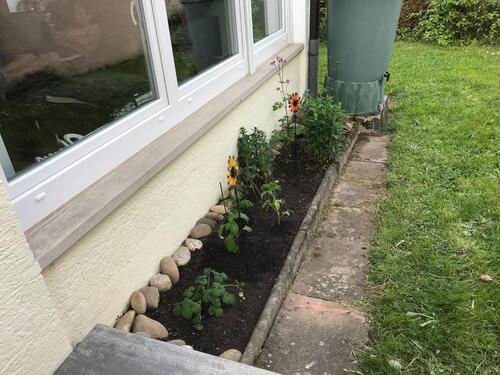 Foto - Erdgeschoßwohnung in Leinfelden-Echterdingen zur Miete