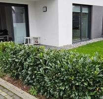 schöne Wohnung zu vermieten ab sofort - Leinefelde-Worbis