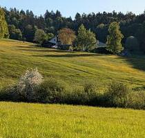 Zweifamilienhaus Pferdehof Reitanlage Wertgutachten Provisionsfre - Eislingen (Fils)