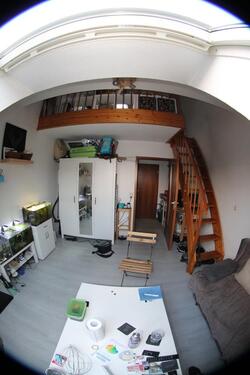 Foto - Dachgeschoßwohnung in Bielefeld zur Miete