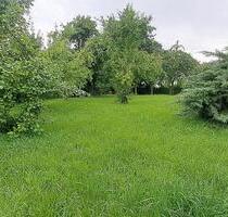 Vermiete Verpachte Baugrundstück z.B. für Tiny - House - Löbau