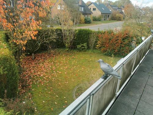 Foto - Reihenendhaus Hiltrup 300m zum Kanal