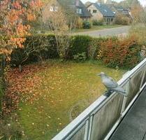 Reihenendhaus Hiltrup 300m zum Kanal - Münster Mitte-Süd