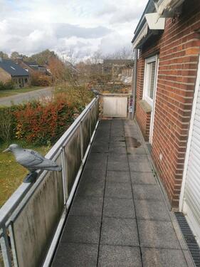 Foto - 6 Zimmer Einfamilienhaus zum Kaufen in Münster